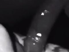 BBC fucks a bitch in chastity (black and white)