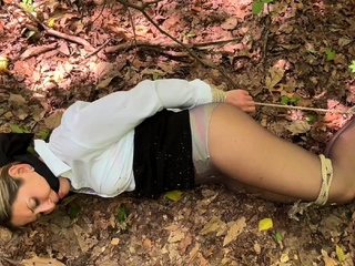in the woods