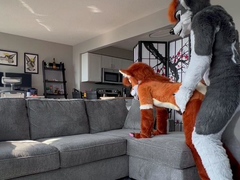 Brunette love hardcore doggystyle sex