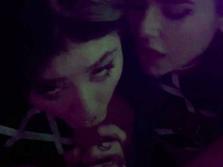 Great amateur video of Brunette POV oral sex